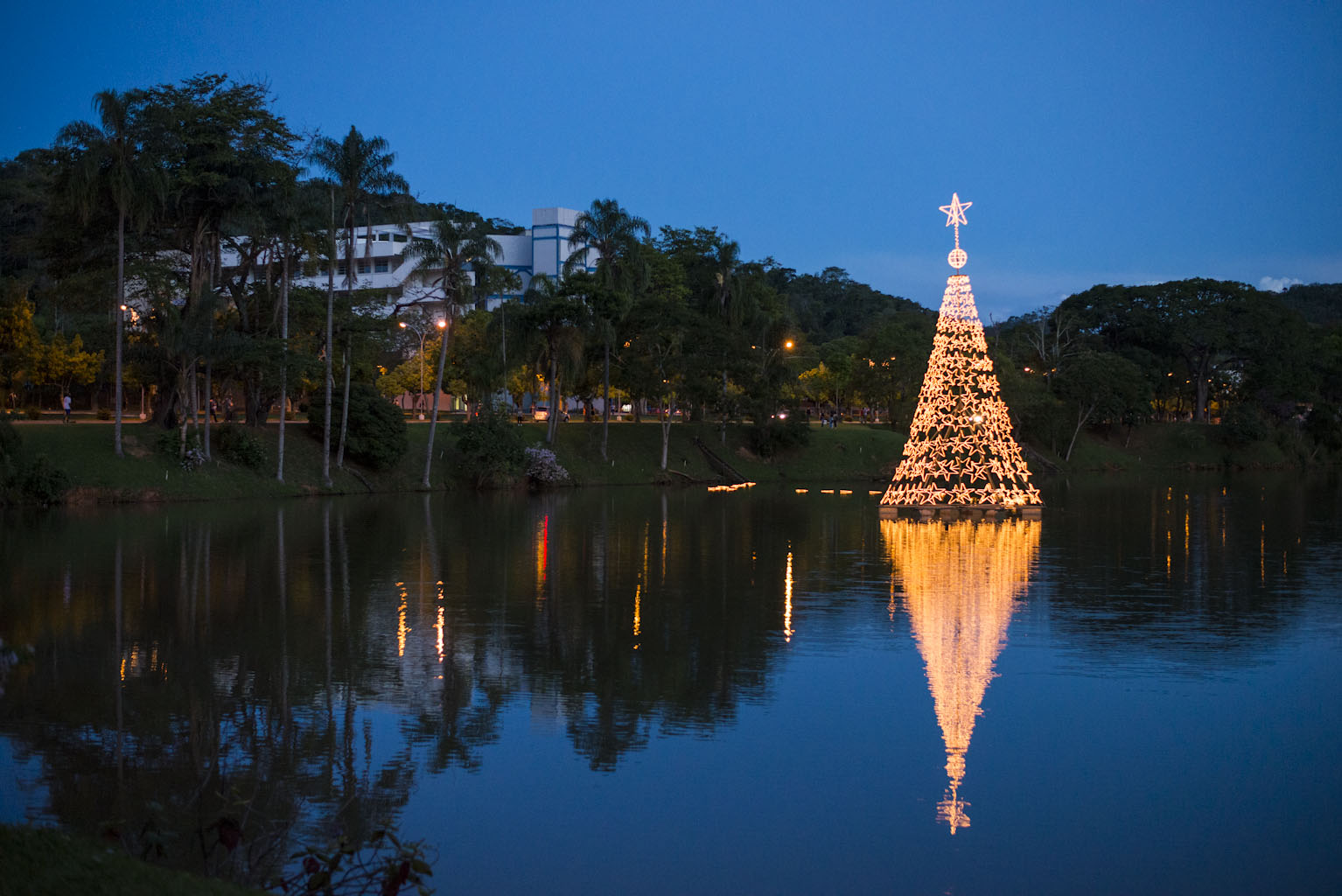 Que a magia do Natal transforme em realidade todos os seus sonhos e projetos em 2015 | Programa de Pós-Graduação em Entomologia Que a magia do Natal transforme em realidade todos os seus sonhos e projetos em 2015 | Programa de Pós-Graduação em Entomologia