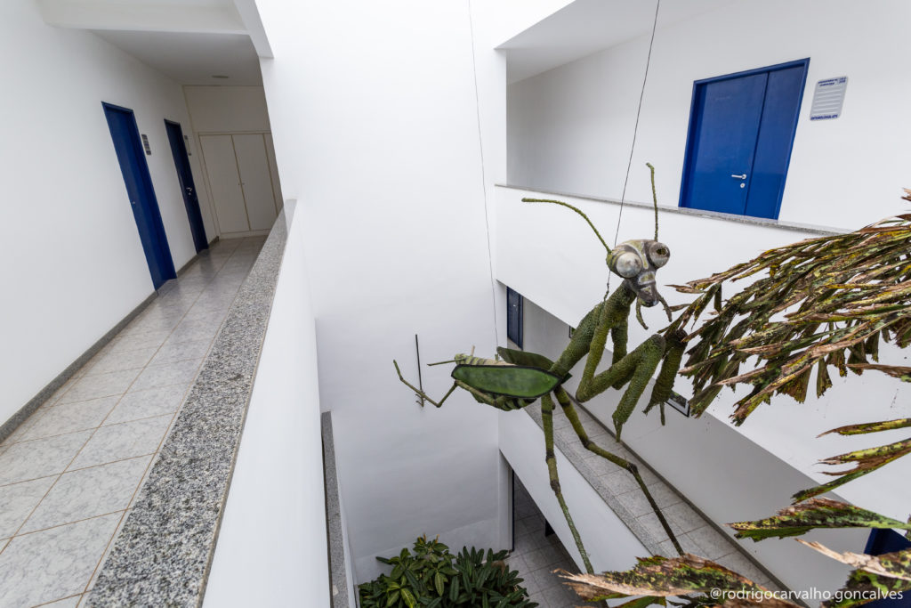 nove-professores-da-entomologia-est-o-no-ranking-top-10-000-scientist